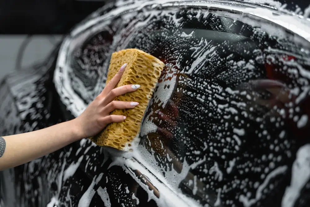 FAQs About Auto Glass Services in Saint Louis Park, MN