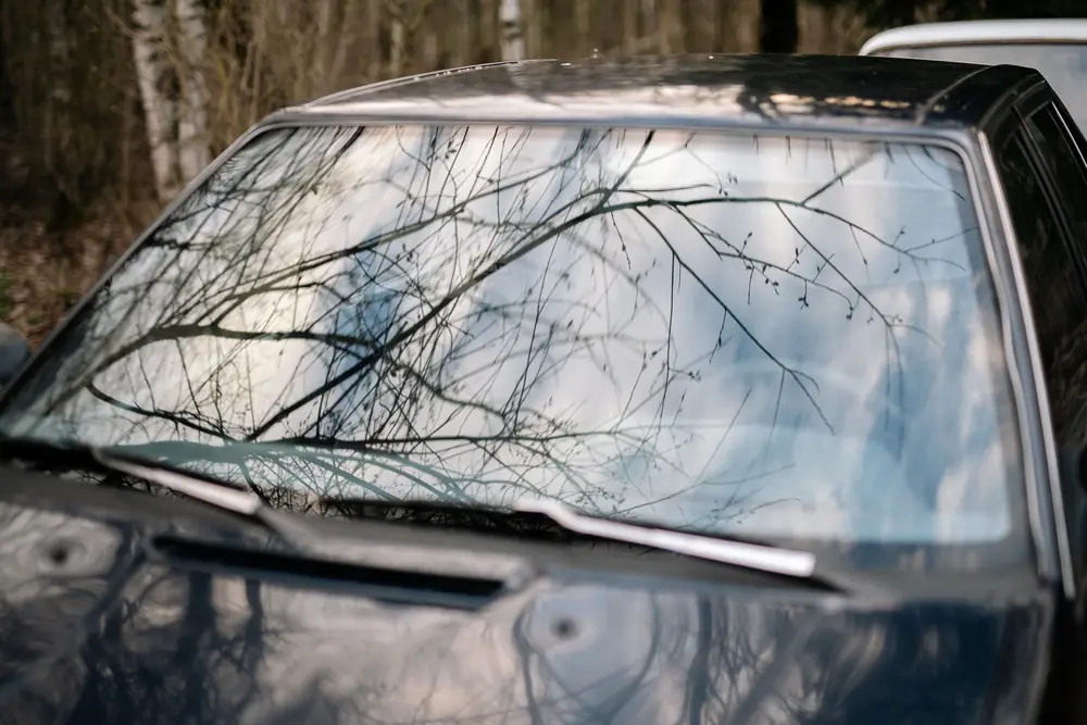 Seasonal Auto Glass Tips for Saint Louis Park Residents